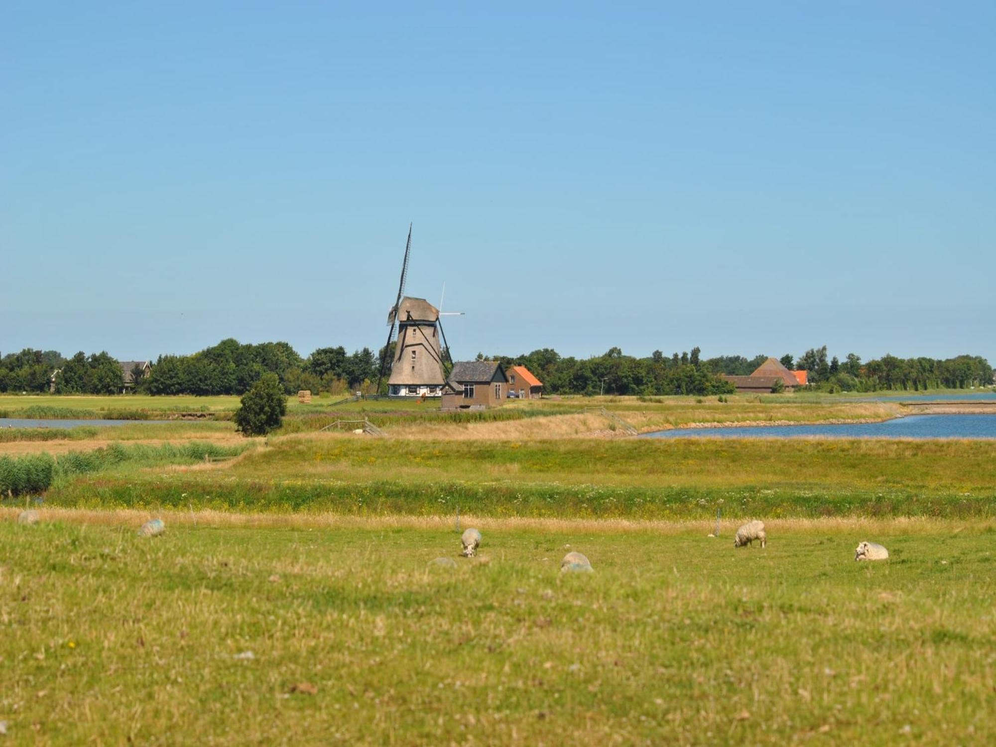 Lovely Holiday Home In Texel Near Sea Oost  Extérieur photo