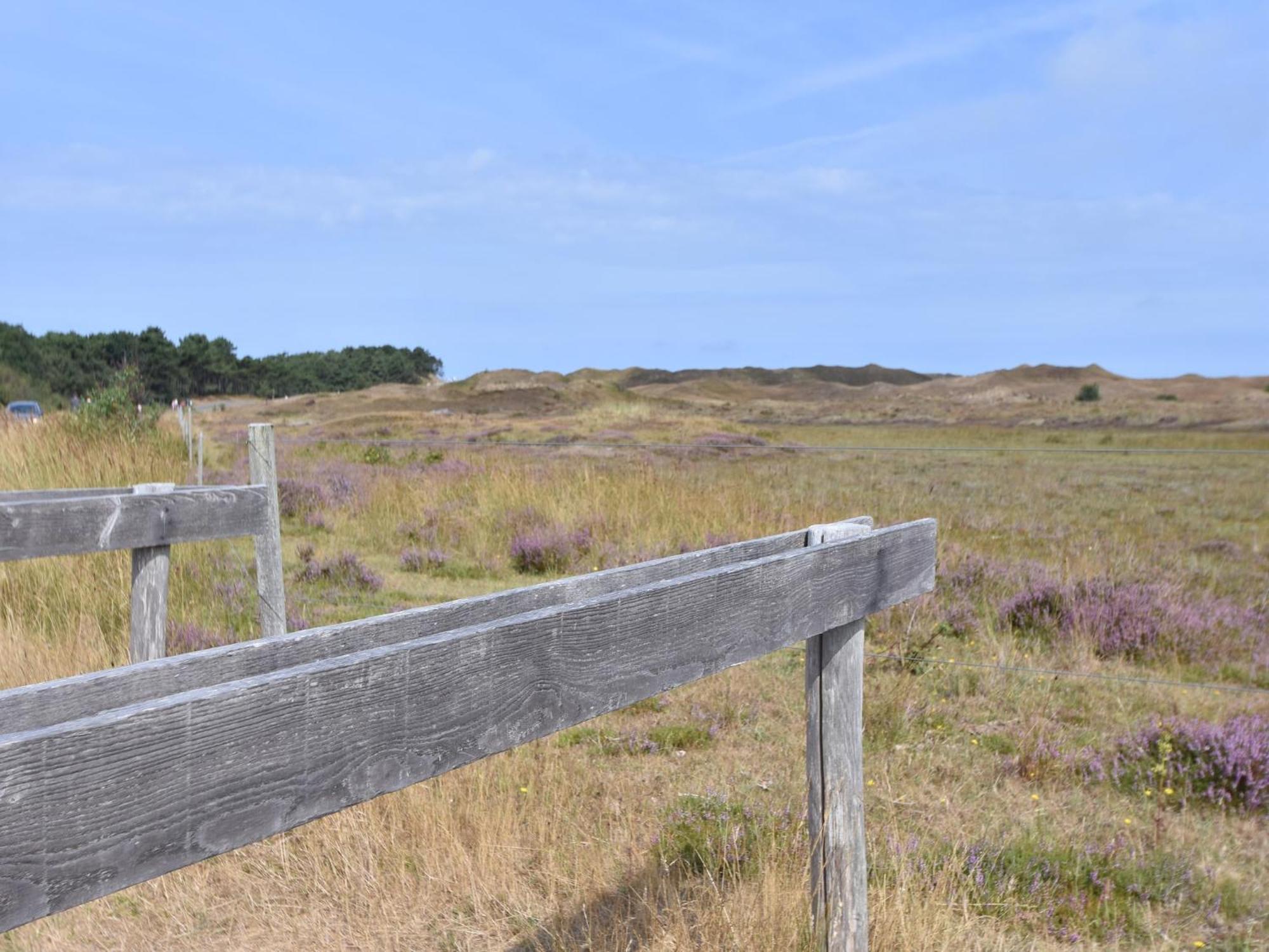 Lovely Holiday Home In Texel Near Sea Oost  Extérieur photo