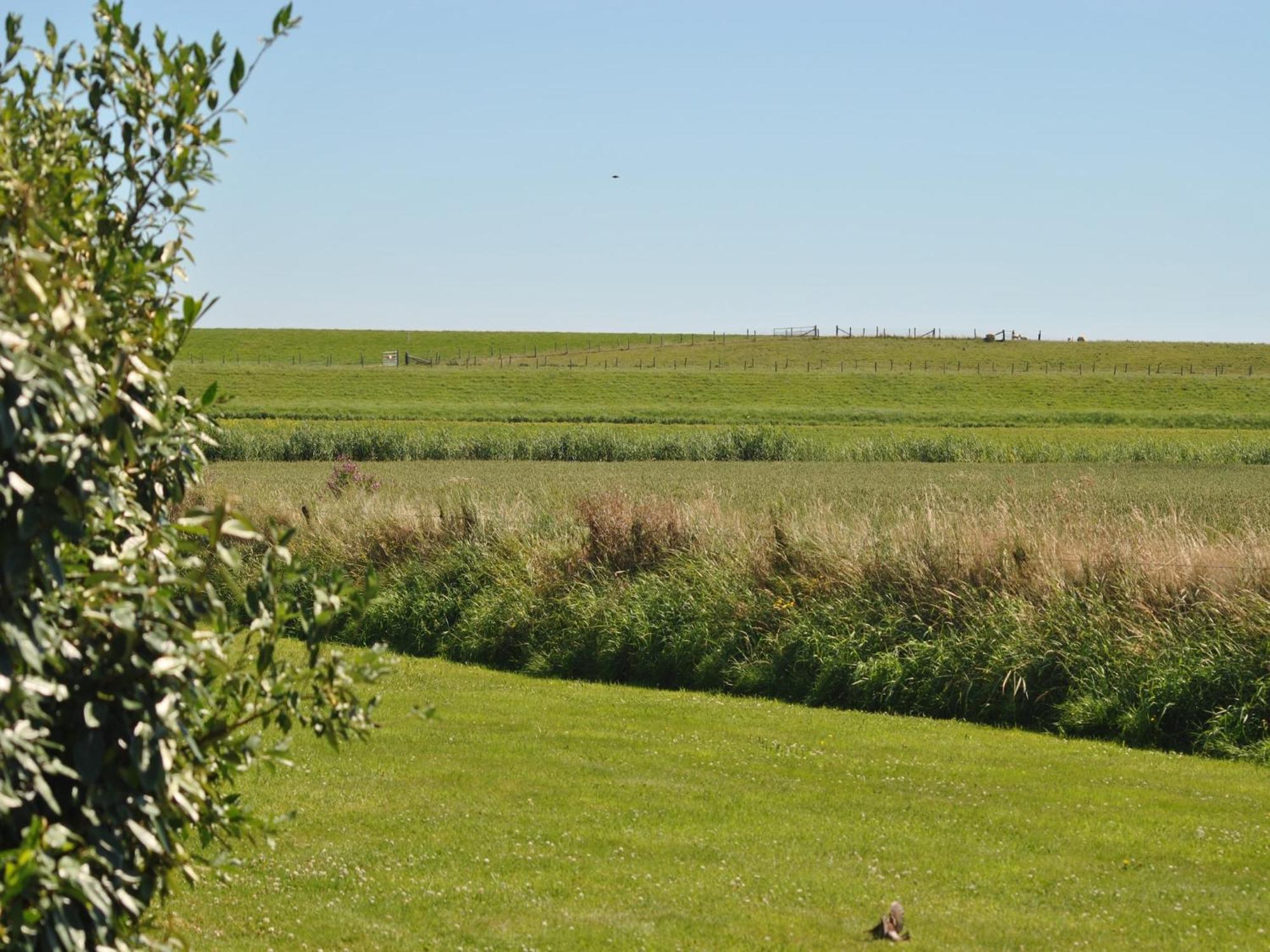 Lovely Holiday Home In Texel Near Sea Oost  Extérieur photo